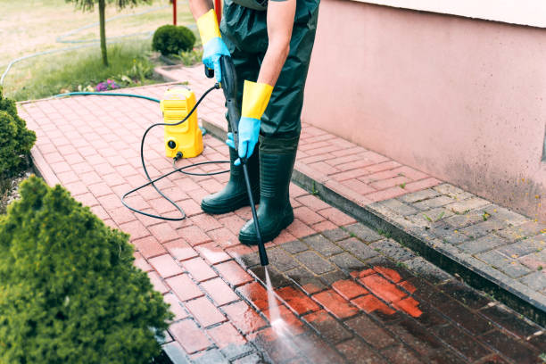 Best Roof Washing  in Timberlane, IL