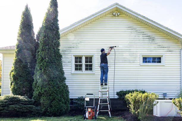 Best House Exterior Washing  in Timberlane, IL