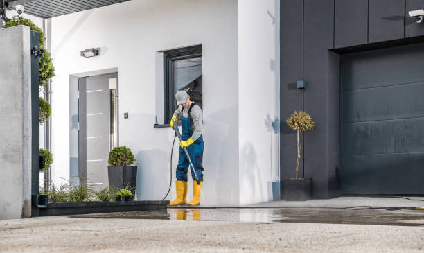 Best Roof Washing  in Timberlane, IL